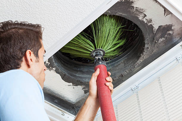 Best Mold and Mildew Removal from Ducts in Hardin, MT